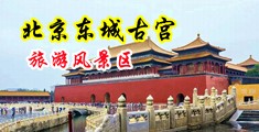 骚货性插福利在线中国北京-东城古宫旅游风景区